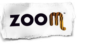 ZOOM TORINO