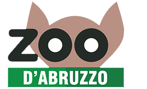 zoo abruzzo